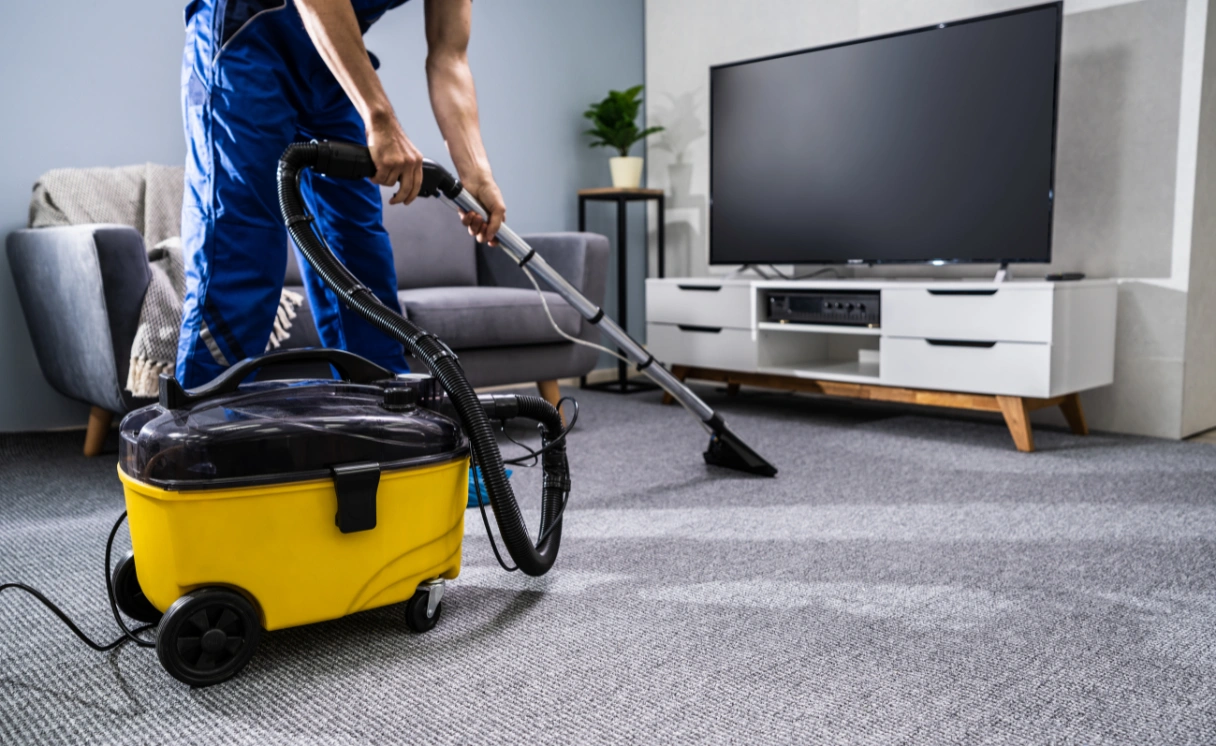 Extract Upholstery Cleaning Anakie Contact Office